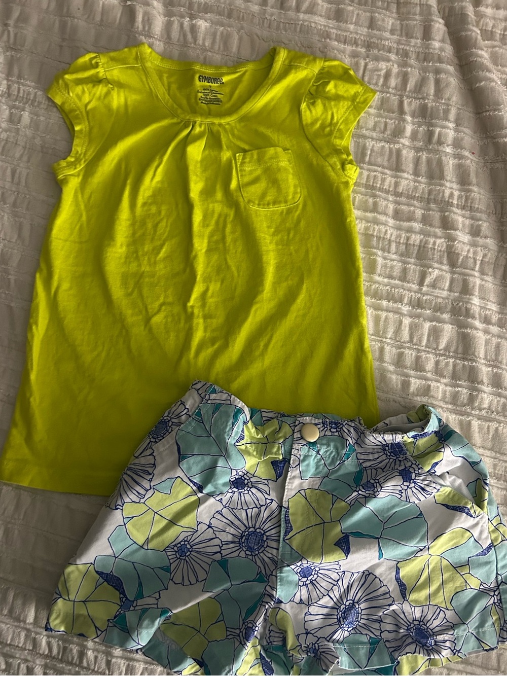 Gymboree Outfit
